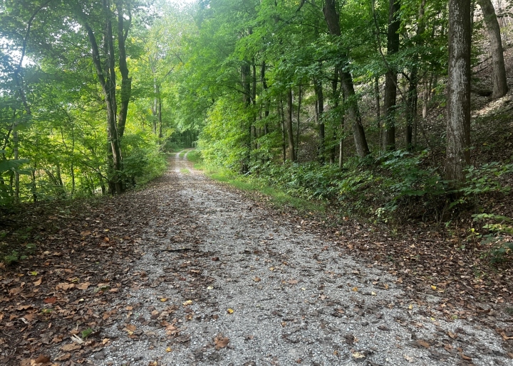 Snake Road